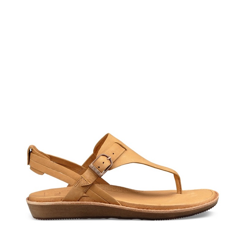 teva encanta thong