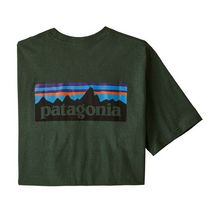 Patagonia Men's P-6 Logo Pocket Responsibili-Tee® ARGR