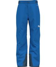 The North Face Boys' Freedom Insulated Pant HEROBLUE