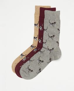 Barbour Men's Pointer Dogs Sock Gift Set WINTERRED