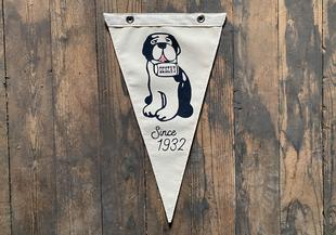 Geiger's X Wild Northland St. Bernard Ski Dog Pennant IVORY