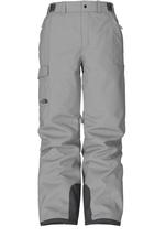 The North Face Men's Freedom Pants TNFMEDGREYHEATHER