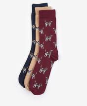 Barbour Pointer Dog Socks Gift Box CORDOVAN