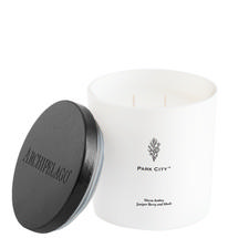 Archipelago Park City Luxe Candle PARKCITY