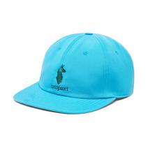 Cotopaxi Dad Hat POOLSIDE
