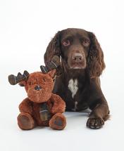 Barbour Reindeer Dog Toy BROWN/CLASSIC