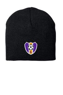 LSA Embroidered Knit Beanie 