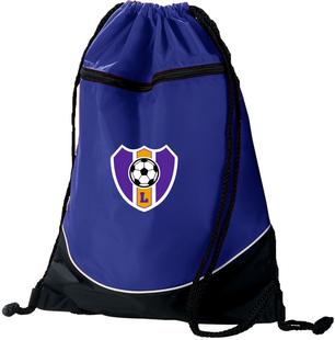 Lsa Purple Cinch Bag