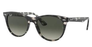  Ray- Ban Wayfarer Ii Grey Havana W/Grey Gradient