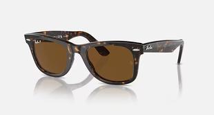 Ray-Ban Wayfarer Tort W/ Brown Polar TORTW/BROWNPOLAR