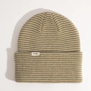Coal Headwear Wayne Beanie SAGEMICROSTRIPE