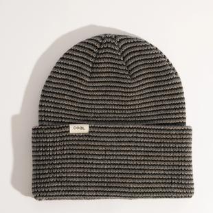 Coal Headwear Wayne Beanie Alternate View