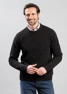 Holebrook Men's Charles Crew BROWNMEL/NAVY